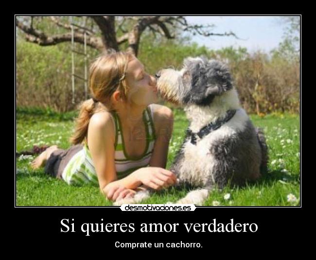 Si quieres amor verdadero - Comprate un cachorro.