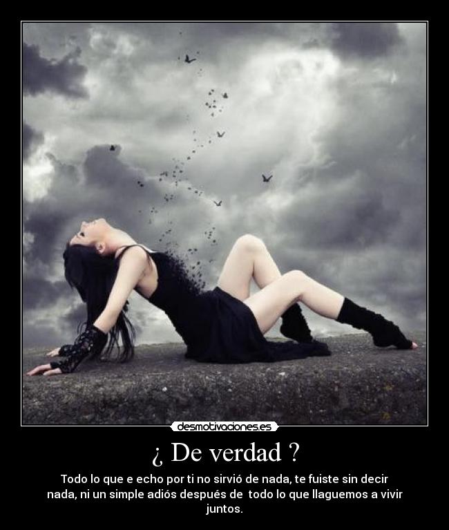¿ De verdad ? - Todo lo que e echo por ti no sirvió de nada, te fuiste sin decir
nada, ni un simple adiós después de todo lo que llaguemos a vivir
juntos.