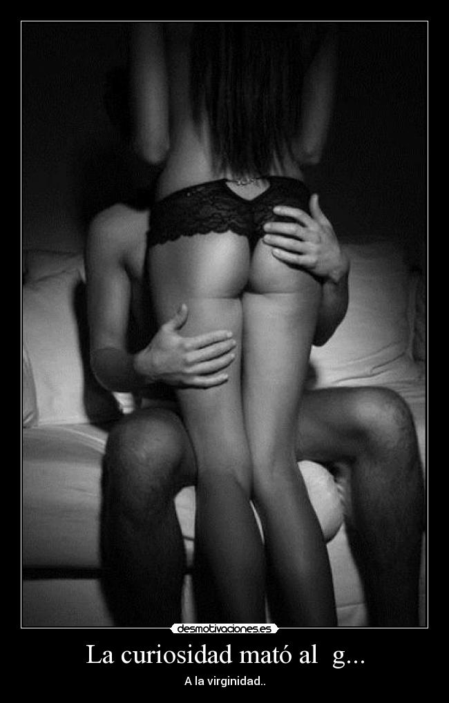 La curiosidad mató al g... -