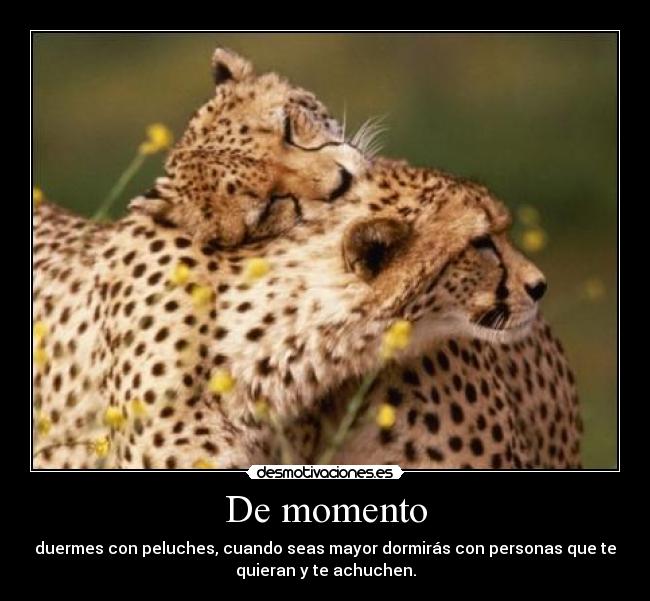 De momento - 