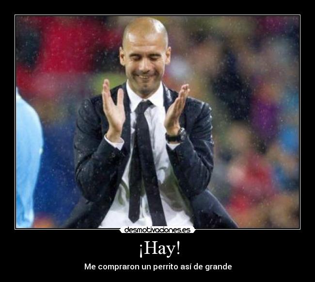 ¡Hay! - Me compraron un perrito así de grande