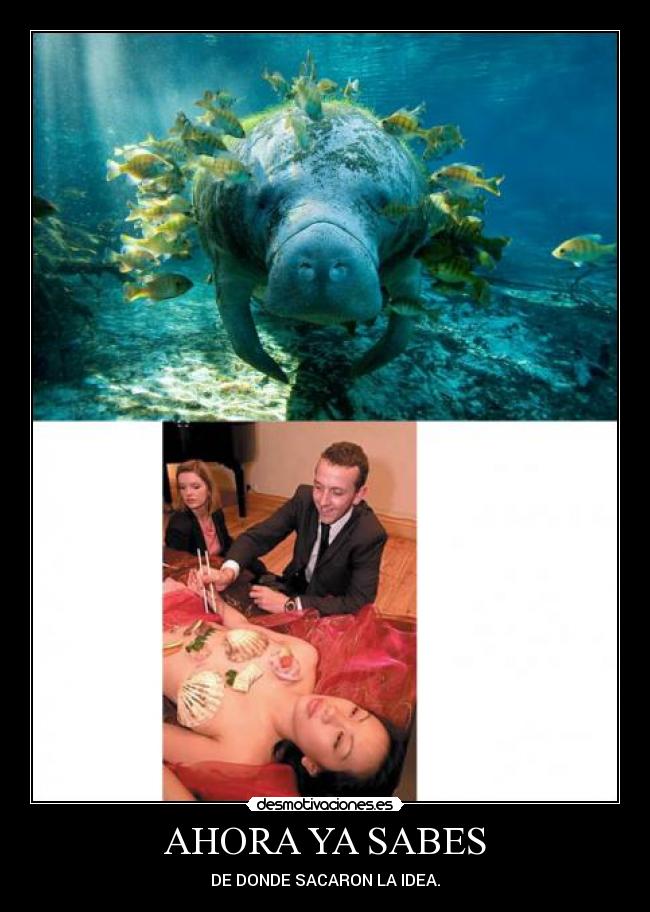 AHORA YA SABES - DE DONDE SACARON LA IDEA.