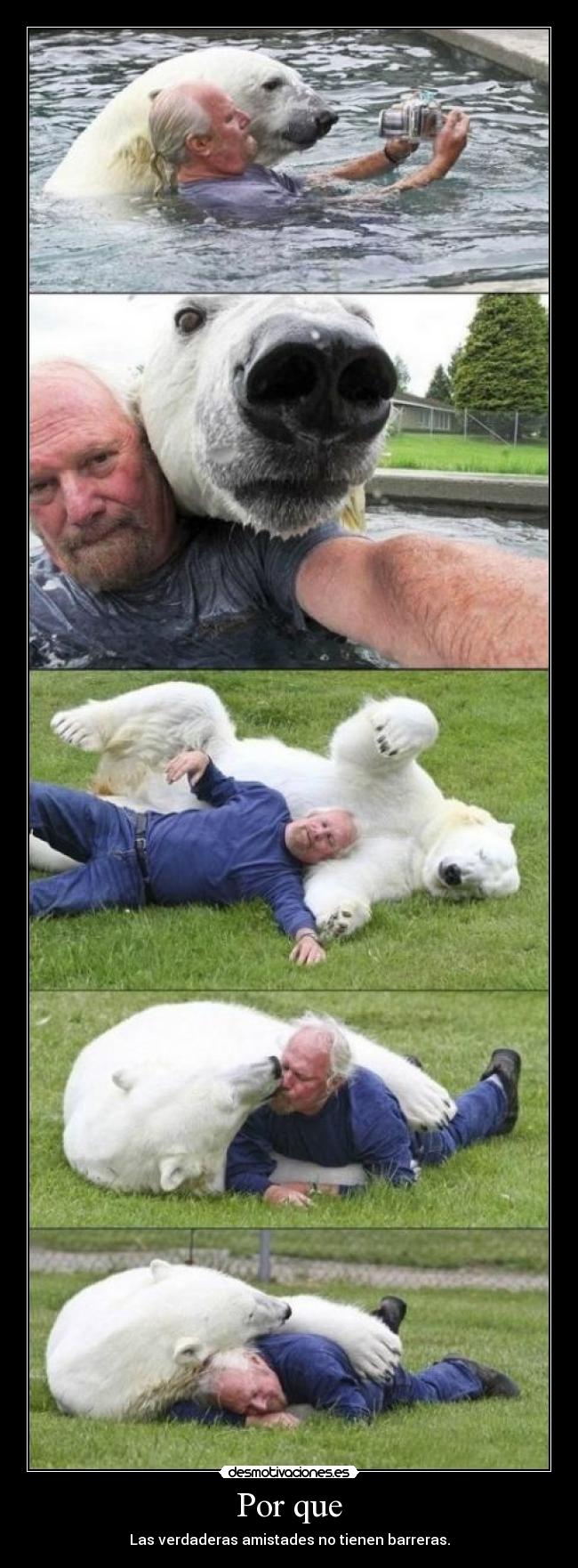 Por que - Las verdaderas amistades no tienen barreras.