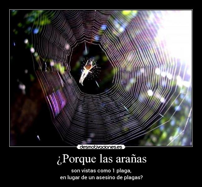 ¿Porque las arañas - son vistas como 1 plaga,
en lugar de un asesino de plagas?