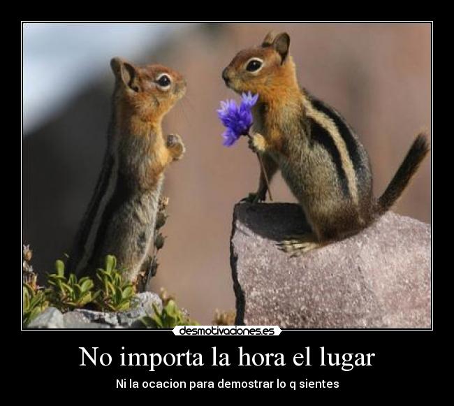 No importa la hora el lugar -