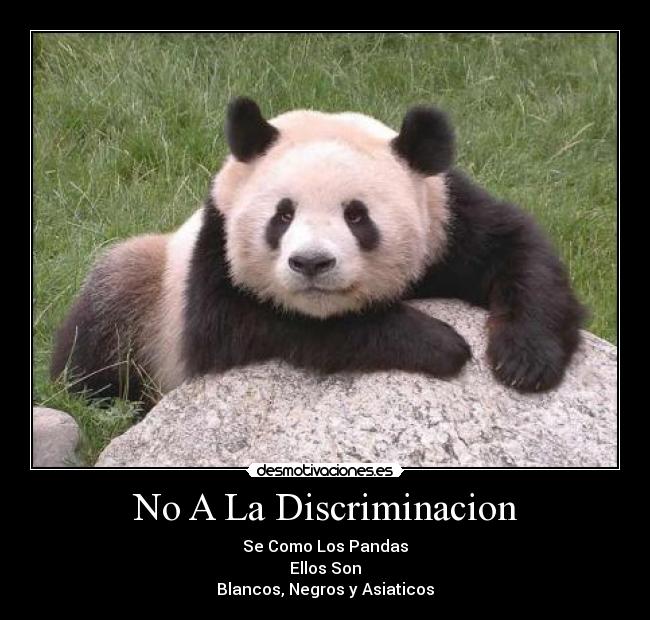 No A La Discriminacion -
