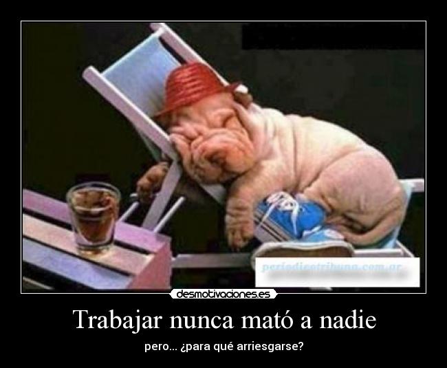 Trabajar nunca mató a nadie - 