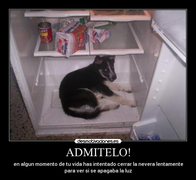 ADMITELO! -