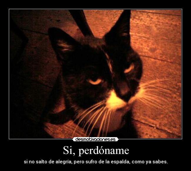 Si, perdóname - si no salto de alegría, pero sufro de la espalda, como ya sabes.