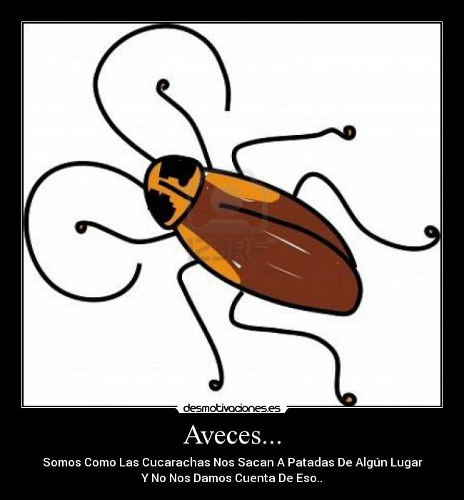 Aveces... -