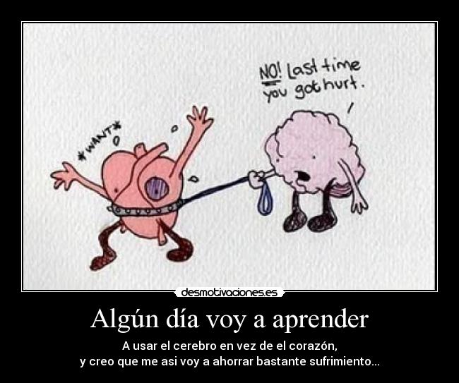 Algún día voy a aprender -