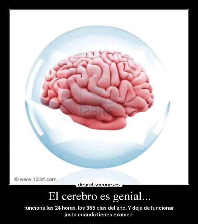 carteles cerebro genial funciona horas 365 dias del ano deja justo cuando examen tienes todo desmotivaciones