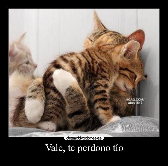 carteles creo que visto unos lindos gatitos desmotivaciones