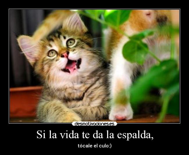 Si la vida te da la espalda, -