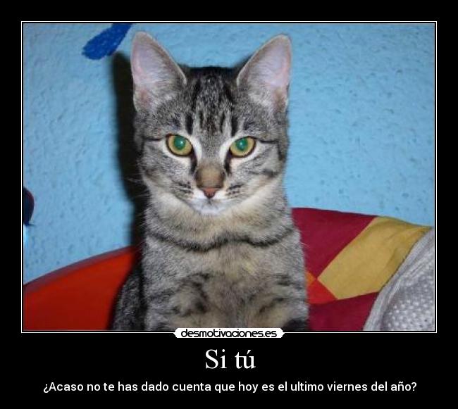 Si tú - ¿Acaso no te has dado cuenta que hoy es el ultimo viernes del año?