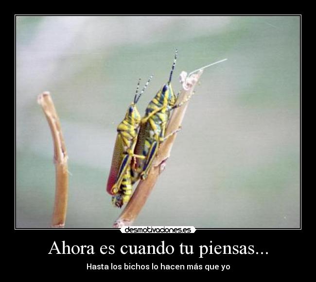 Ahora es cuando tu piensas... -