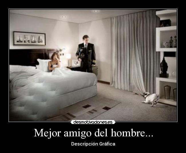 Mejor amigo del hombre... - Descripción Gráfica