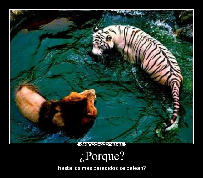 ¿Porque? - hasta los mas parecidos se pelean?