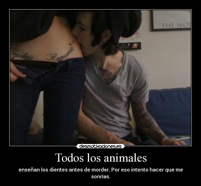 carteles animales sujetadordesmo desmotivaciones