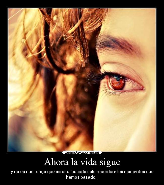 Ahora la vida sigue -