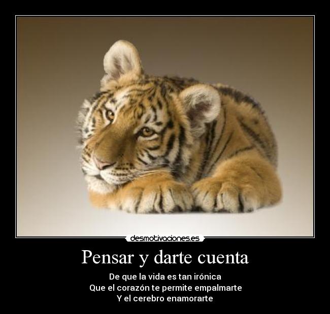 Pensar y darte cuenta - 
