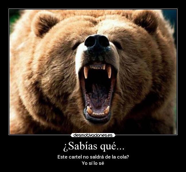 ¿Sabías qué... - Este cartel no saldrá de la cola?
Yo sí lo sé