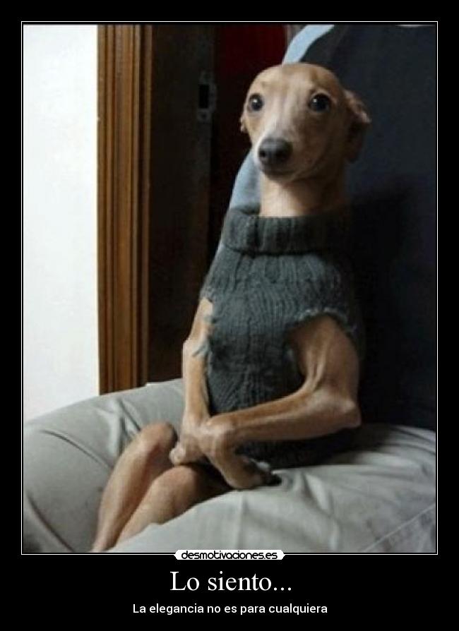 Lo siento... - La elegancia no es para cualquiera