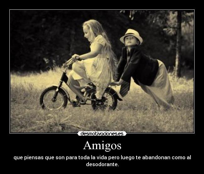 Amigos - que piensas que son para toda la vida pero luego te abandonan como al desodorante.