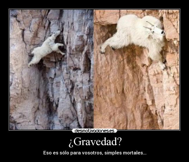 ¿Gravedad? - 
