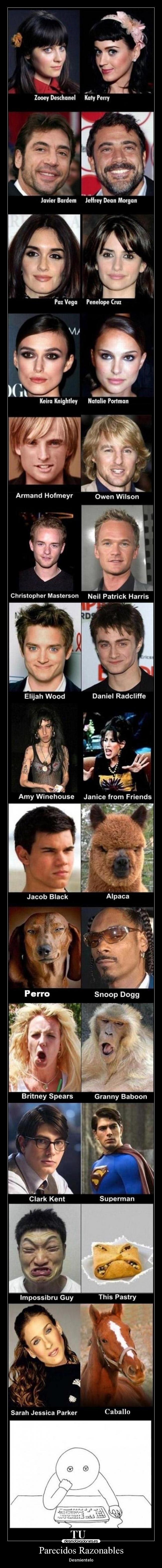 Parecidos Razonables - 