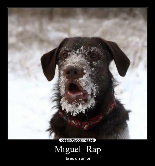 Miguel_Rap - ♥Eres un amor♥
