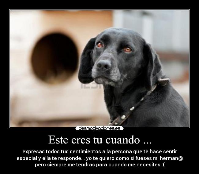 Este eres tu cuando ... - expresas todos tus sentimientos a la persona que te hace sentir
especial y ella te responde... yo te quiero como si fueses mi herman@
pero siempre me tendras para cuando me necesites :(