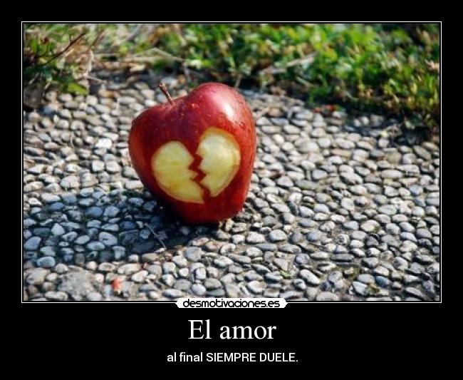 El amor - 