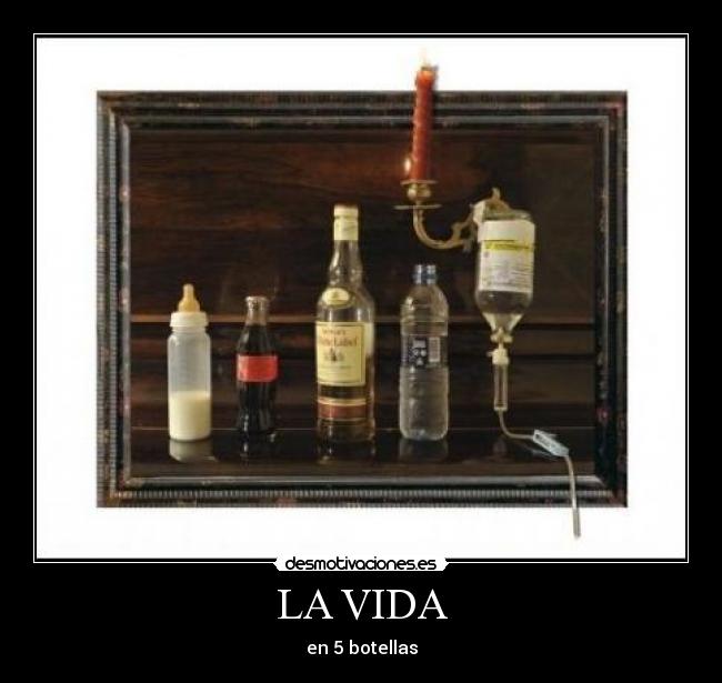 LA VIDA - en 5 botellas