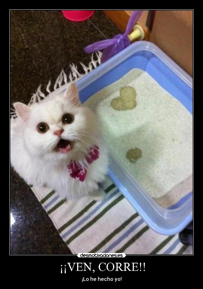 ¡¡VEN, CORRE!! - ¡Lo he hecho yo!