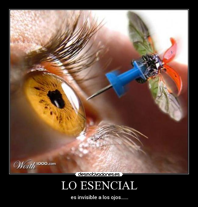 LO ESENCIAL - es invisible a los ojos......