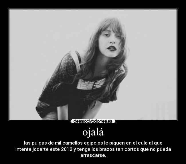ojalá - las pulgas de mil camellos egipcios le piquen en el culo al que
intente joderte este 2012 y tenga los brazos tan cortos que no pueda
arrascarse.