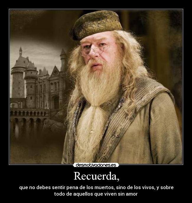 carteles albus dumbledore desmotivaciones