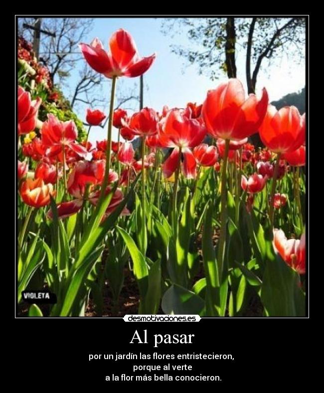 Al pasar - por un jardín las flores entristecieron, 
porque al verte
 a la flor más bella conocieron.