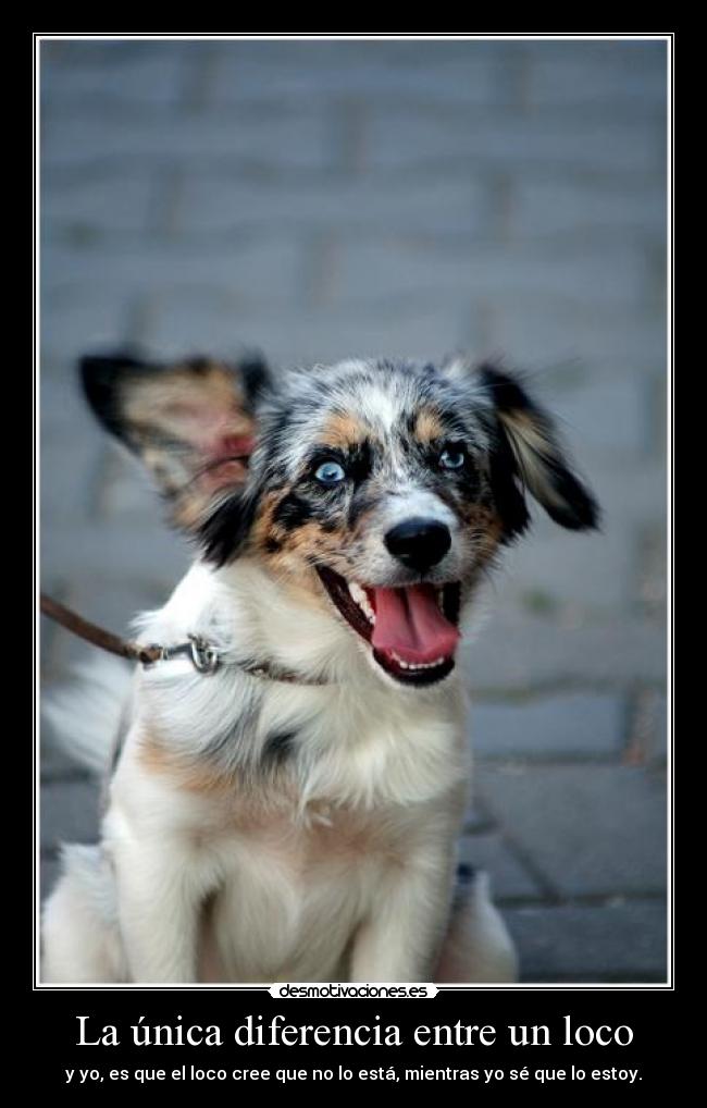 La única diferencia entre un loco - 