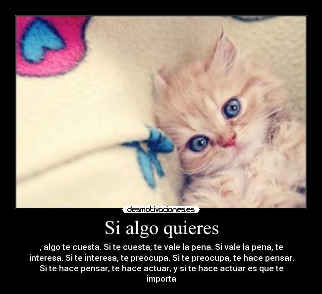 Si algo quieres - 