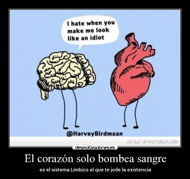 carteles corazon tsunami20 desmotivaciones