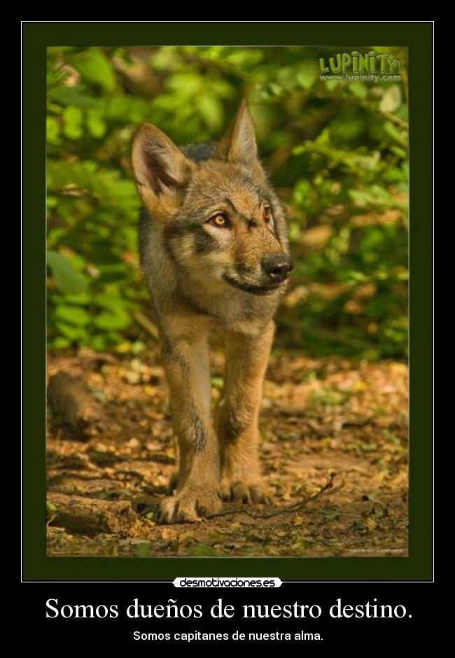 Somos dueños de nuestro destino. -