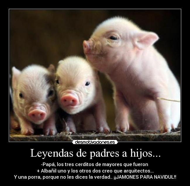 Leyendas de padres a hijos... - -Papá, los tres cerditos de mayores que fueron
+ Albañil uno y los otros dos creo que arquitectos...
Y una porra, porque no les dices la verdad.. ¡¡JAMONES PARA NAVIDUL!!