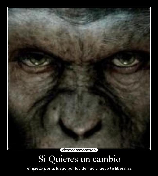 Si Quieres un cambio - empieza por ti, luego por los demás y luego te liberaras