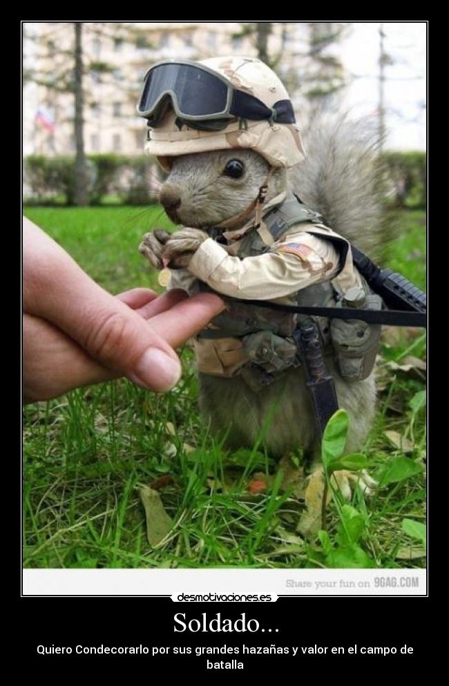 Soldado... - Quiero Condecorarlo por sus grandes hazañas y valor en el campo de batalla