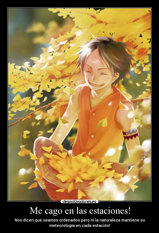 Me cago en las estaciones! - 