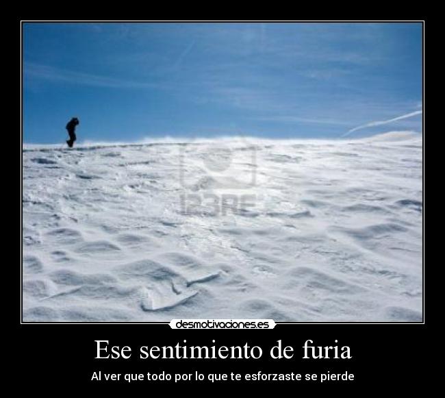 Ese sentimiento de furia -