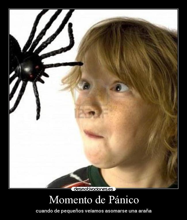 Momento de Pánico - cuando de pequeños veíamos asomarse una araña