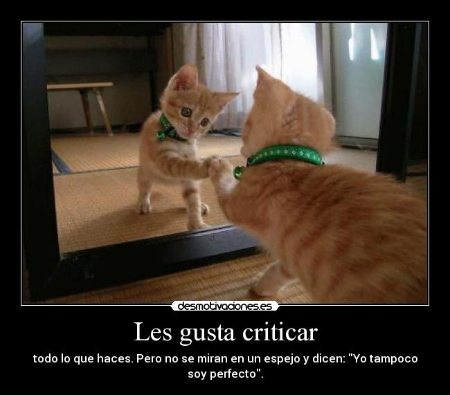 Les gusta criticar - 